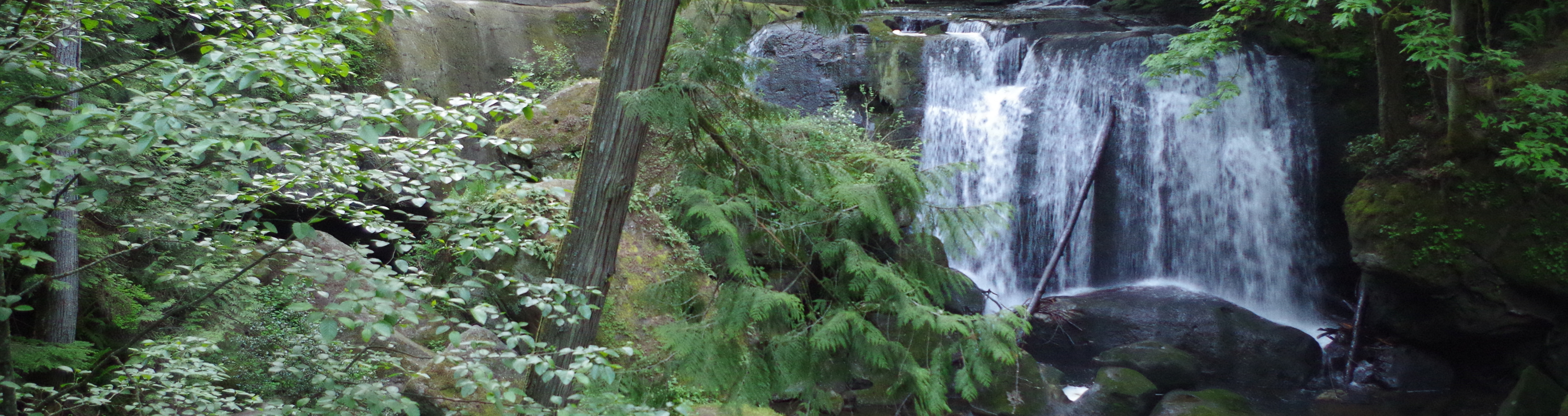 Whatcom Falls