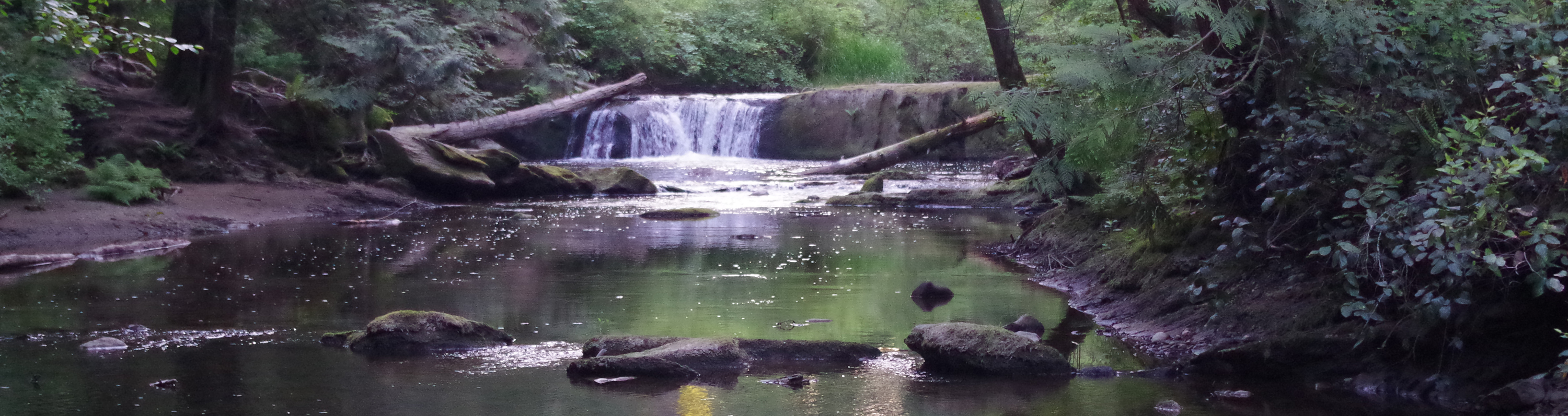 Whatcom Falls