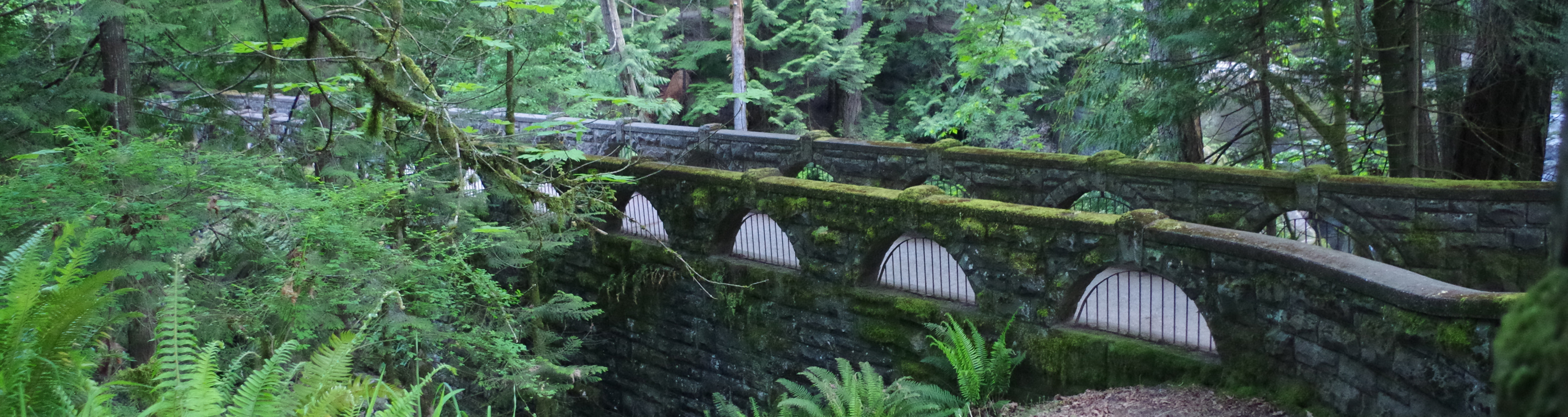 Whatcom Falls