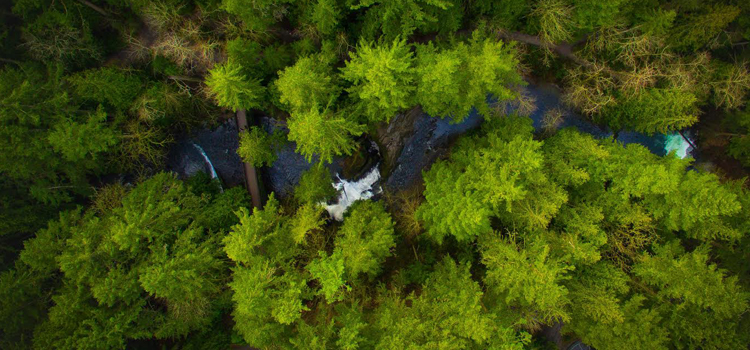 Whatcom Falls Aerial